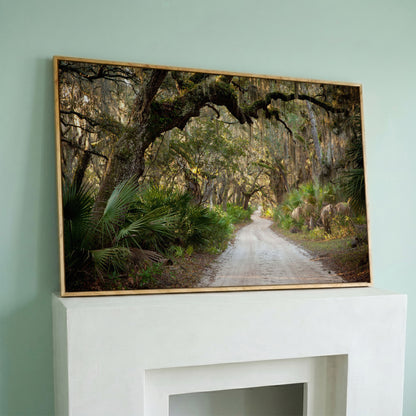 Live Oak Trees Tunnel Canvas Print with Spanish Moss in white oak floating frame