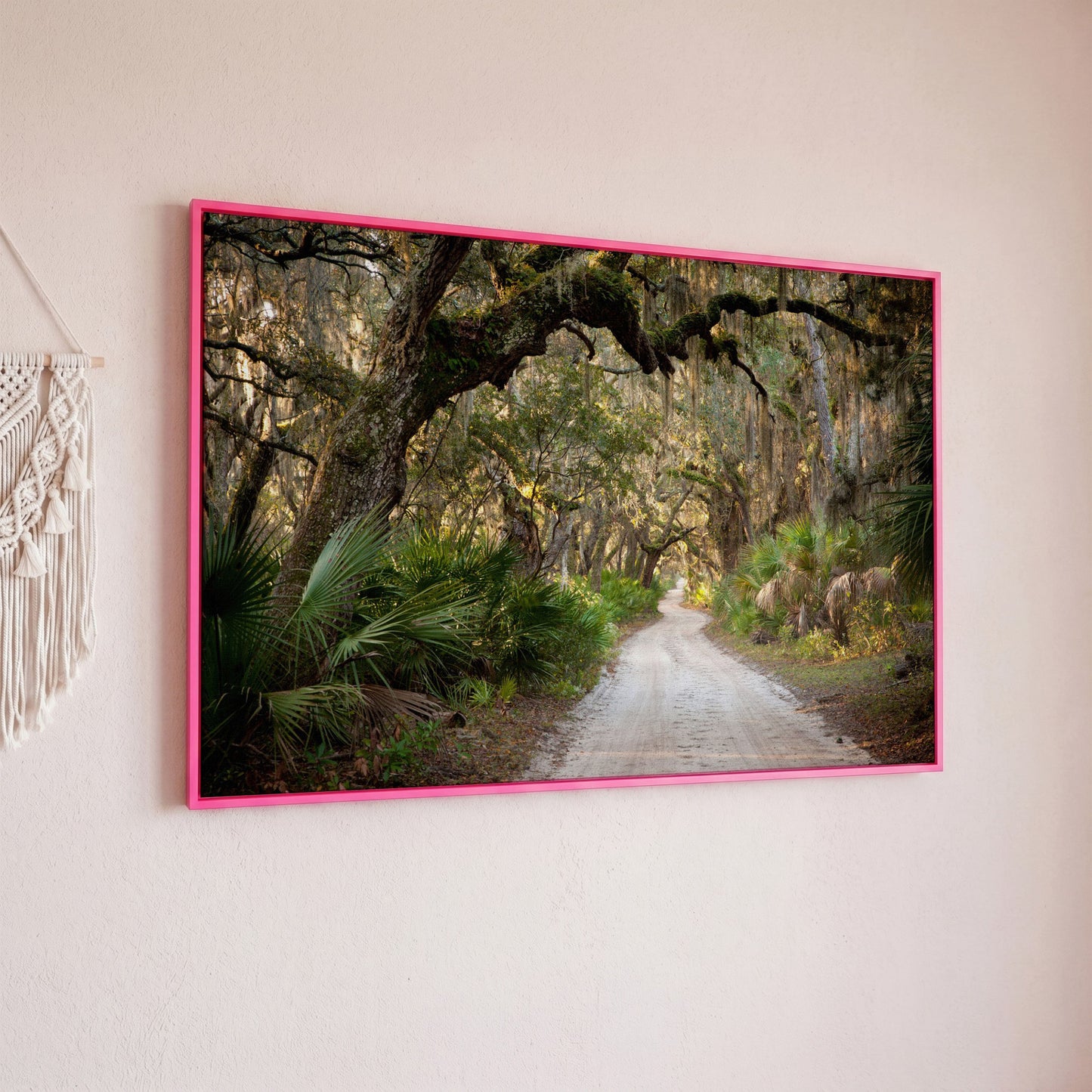 Live Oak Trees Tunnel Canvas Print with Spanish Moss in pink floating frame