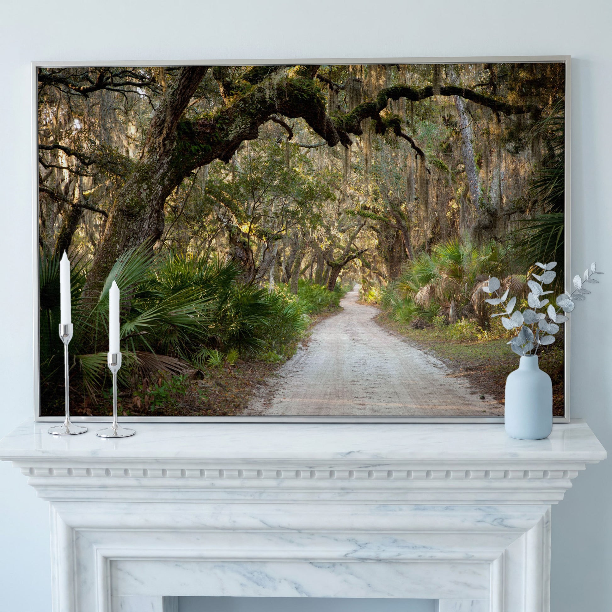 Live Oak Trees Tunnel Canvas Print with Spanish Moss in silver floating frame