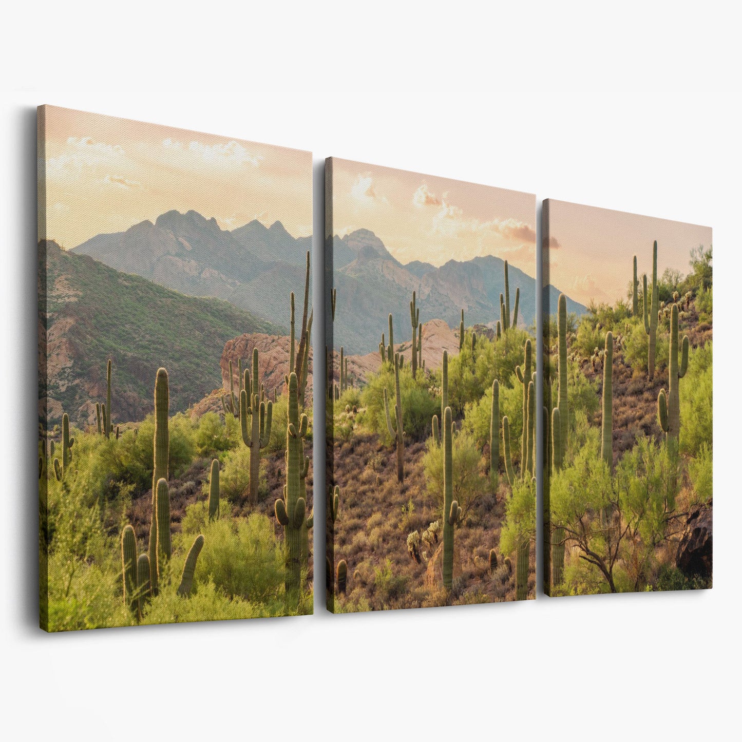 Bulldog Canyon Desert Cactus Canvas as 3-panel split version