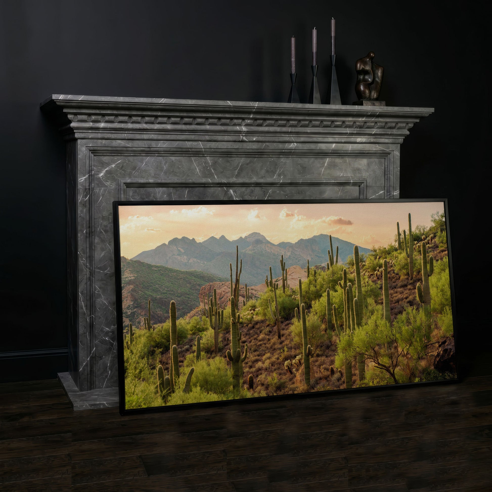 Bulldog Canyon Desert Cactus Canvas in black floating frame