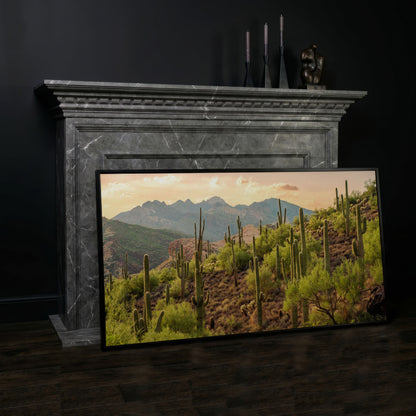 Bulldog Canyon Desert Cactus Canvas in black floating frame