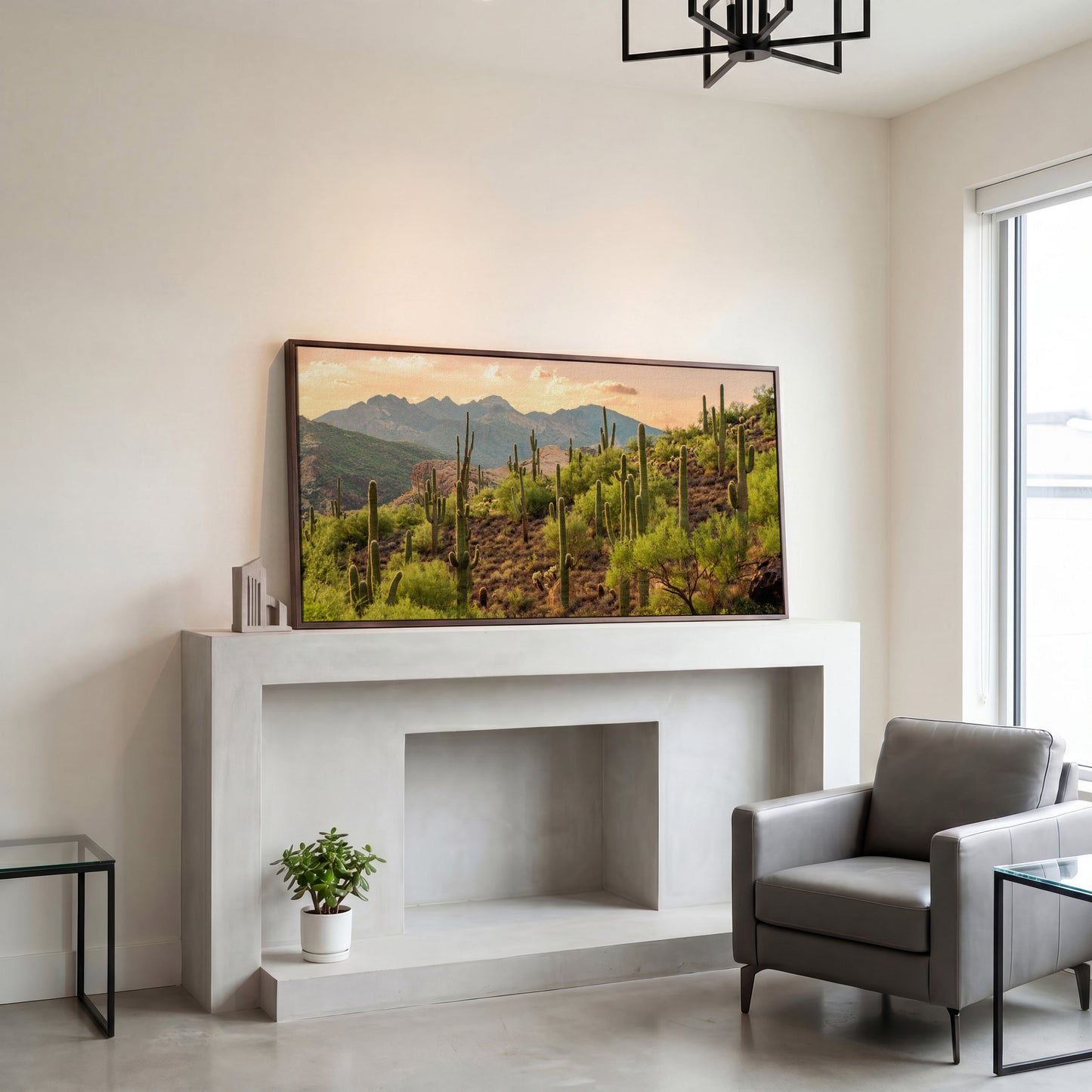 Bulldog Canyon Desert Cactus Canvas in dark walnut floating frame