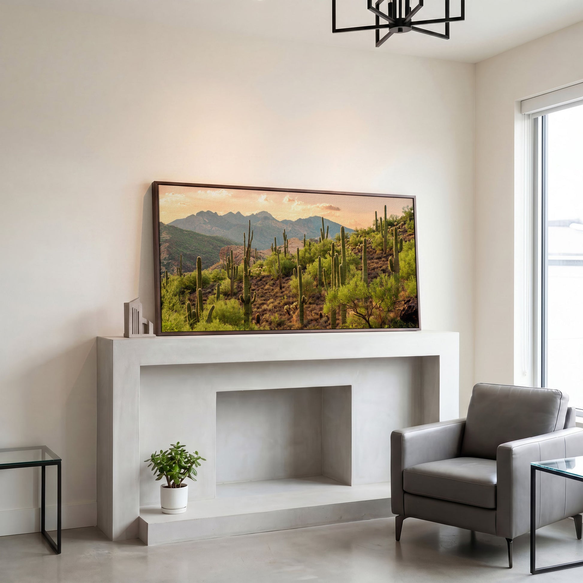 Bulldog Canyon Desert Cactus Canvas in dark walnut floating frame