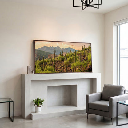 Bulldog Canyon Desert Cactus Canvas in dark walnut floating frame
