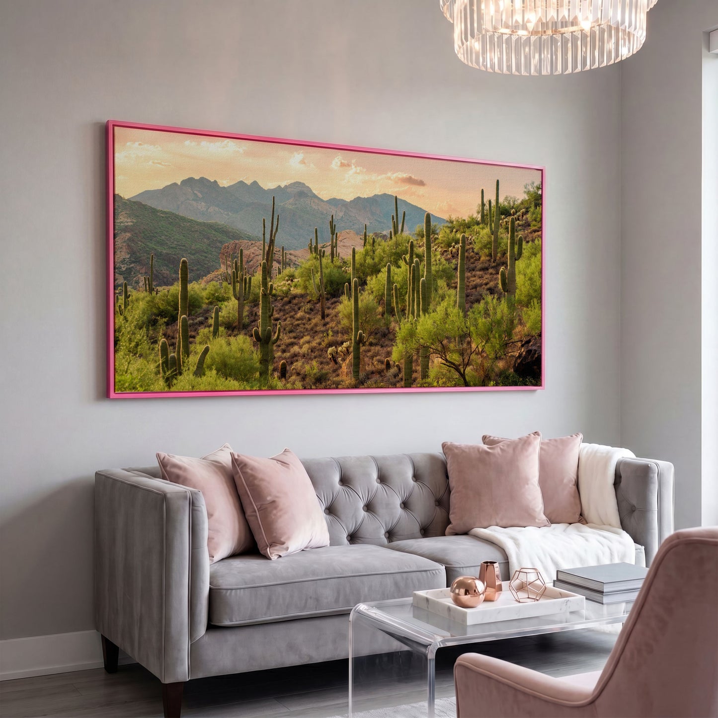 Bulldog Canyon Desert Cactus Canvas in pink floating frame