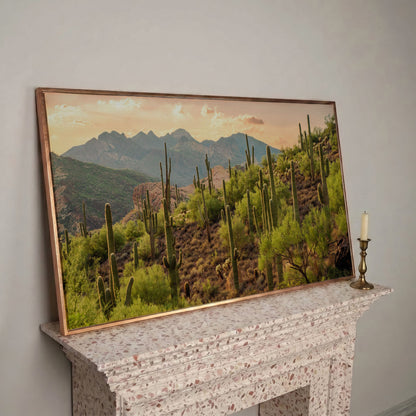 Bulldog Canyon Desert Cactus Canvas in rose gold floating frame