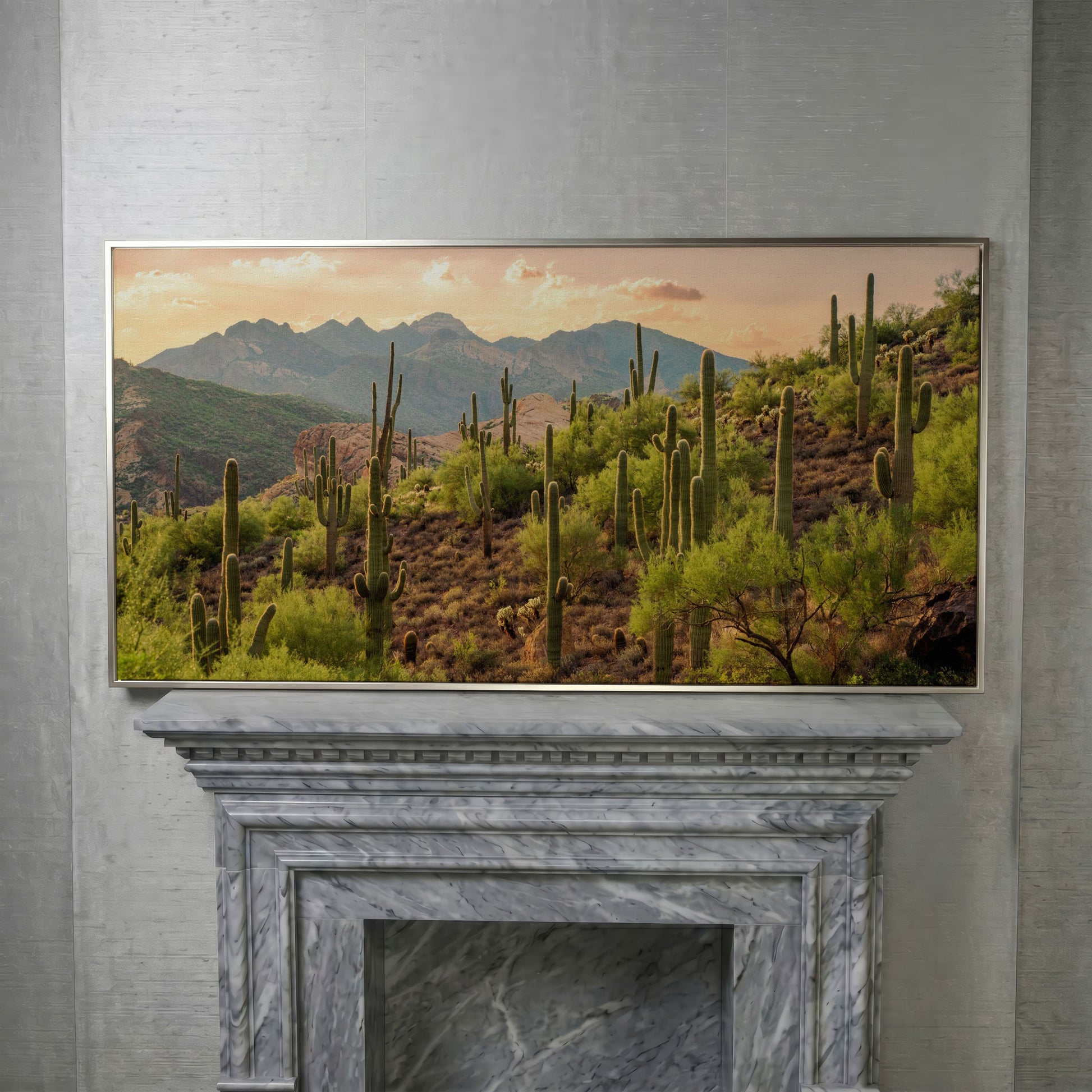 Bulldog Canyon Desert Cactus Canvas in silver floating frame
