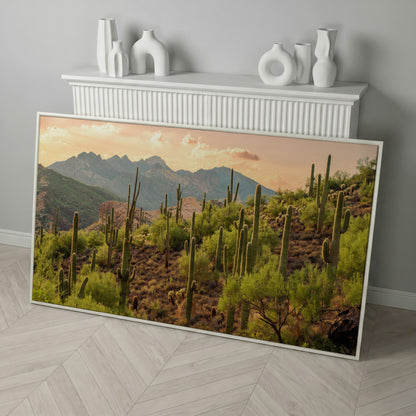 Bulldog Canyon Desert Cactus Canvas in white floating frame