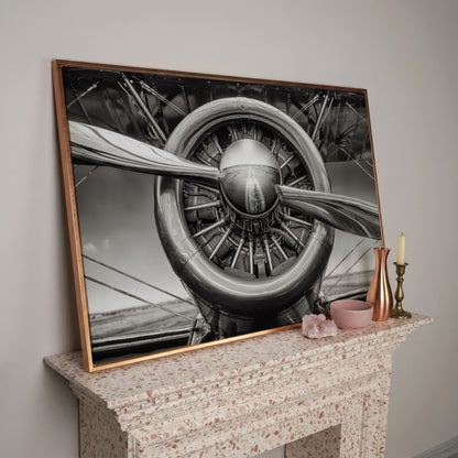 Vintage Aircraft Propeller Canvas Wall Art in rose gold floating frame