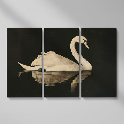 Swan with Water Reflection Canvas Print as 3-panel split version