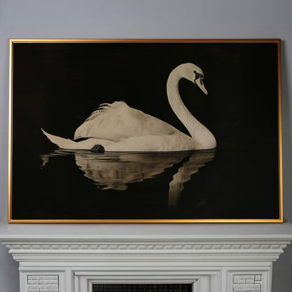 Swan with Water Reflection Canvas Print in antique gold floating frame