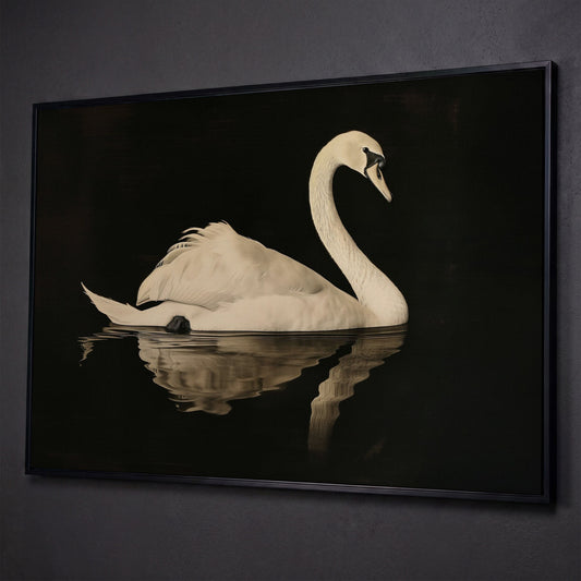 Swan with Water Reflection Canvas Print shown in black floating frame