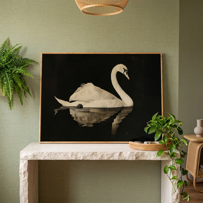 Swan with Water Reflection Canvas Print in white oak floating frame