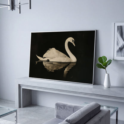 Swan with Water Reflection Canvas Print in silver floating frame