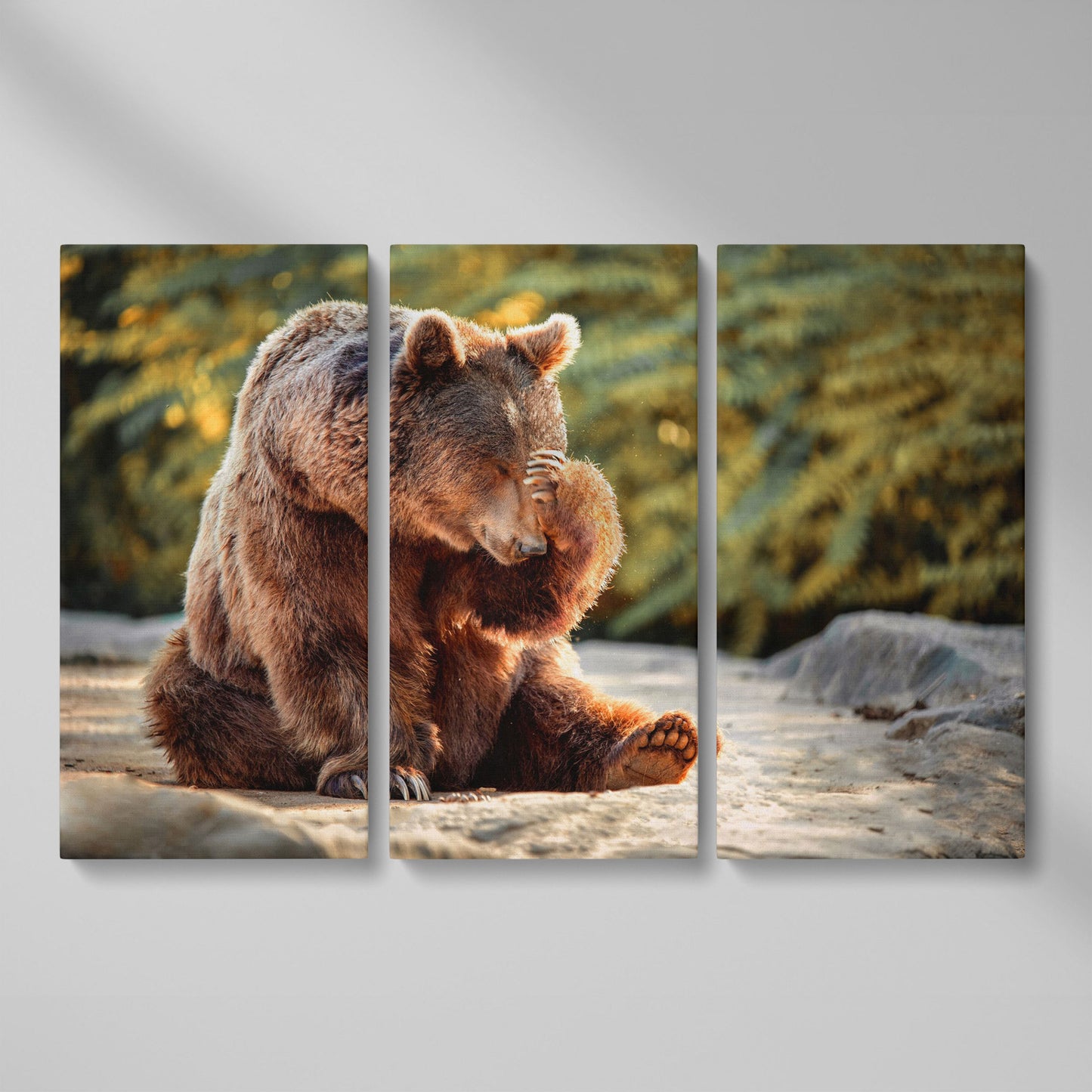 Bear with Paw on Head Wildlife Canvas as 3-panel split version