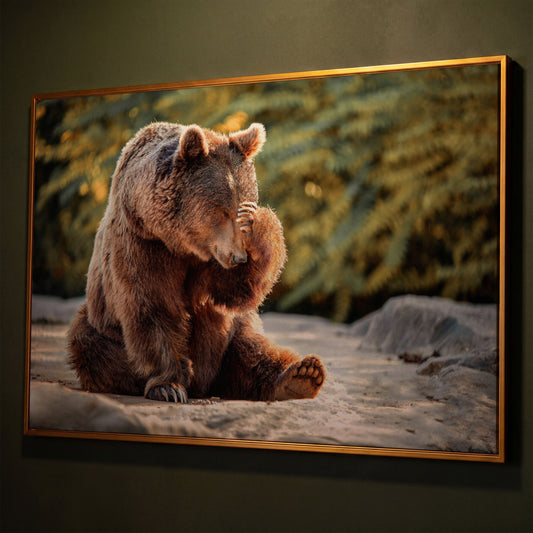 Bear with Paw on Head Wildlife Canvas shown in antique gold floating frame