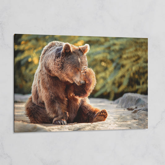Bear with Paw on Head Wildlife Canvas on gallery wrap