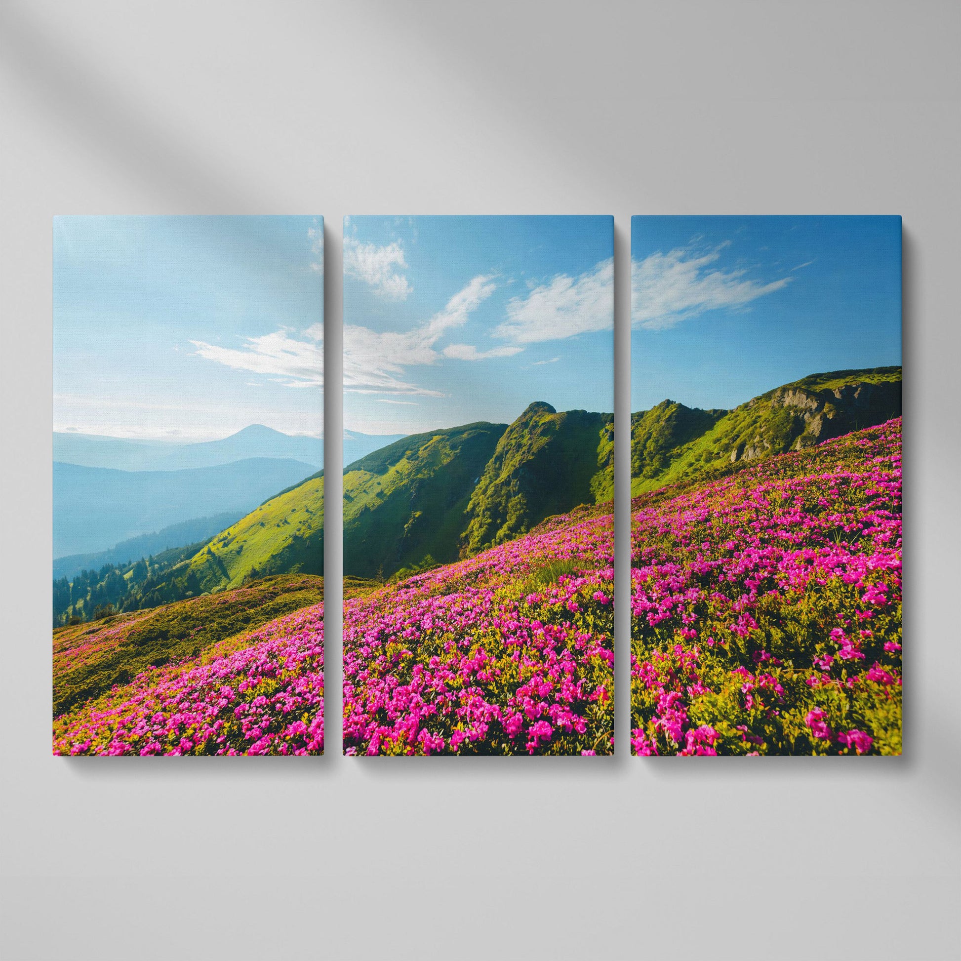 Pink Wildflowers on the Carpathian Mountainside Canvas as 3-panel split version