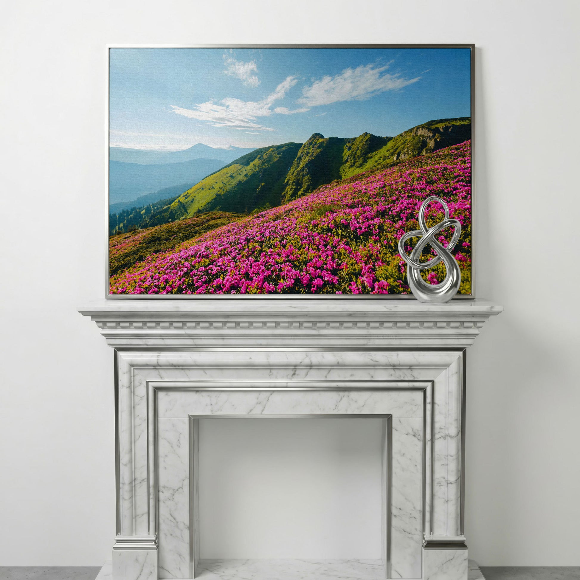 Pink Wildflowers on the Carpathian Mountainside Canvas in silver floating frame