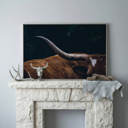 Texas Longhorn Close-Up Canvas Wall Art in silver floating frame