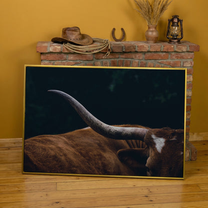 Texas Longhorn Close-Up Canvas Wall Art in yellow gold floating frame