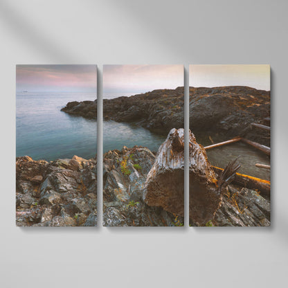 Bowen Island Rocky Shoreline Canvas Print as 3-panel split version