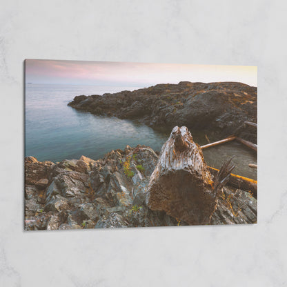 Bowen Island Rocky Shoreline Canvas Print on gallery wrap