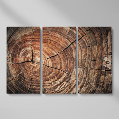 Old Oak Stump Canvas Print with Tree Rings as 3-panel split version