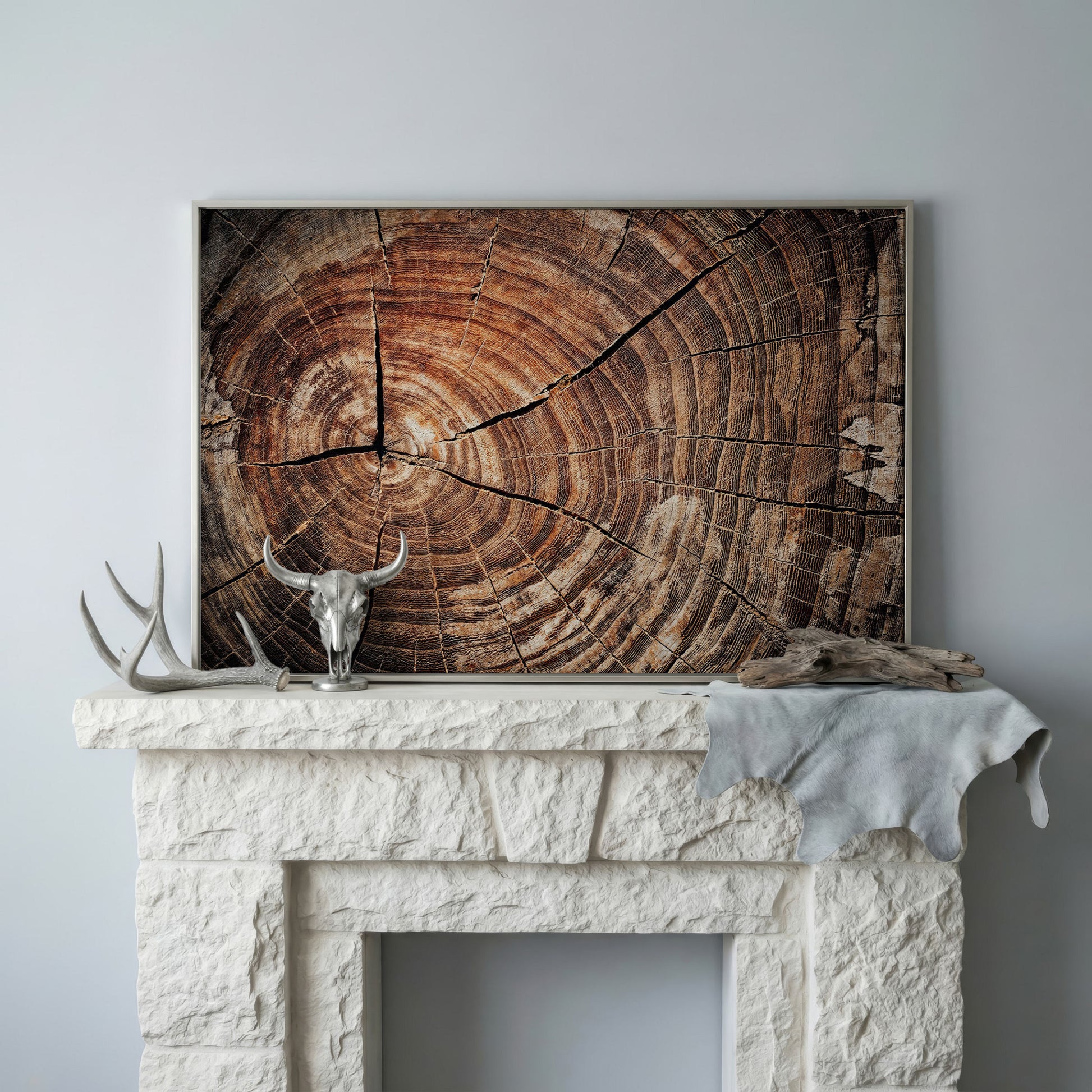 Old Oak Stump Canvas Print with Tree Rings in silver floating frame