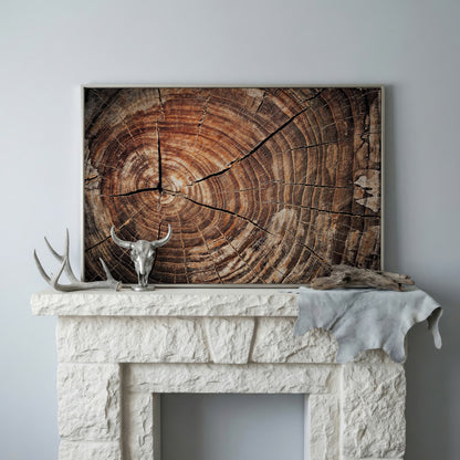 Old Oak Stump Canvas Print with Tree Rings in silver floating frame