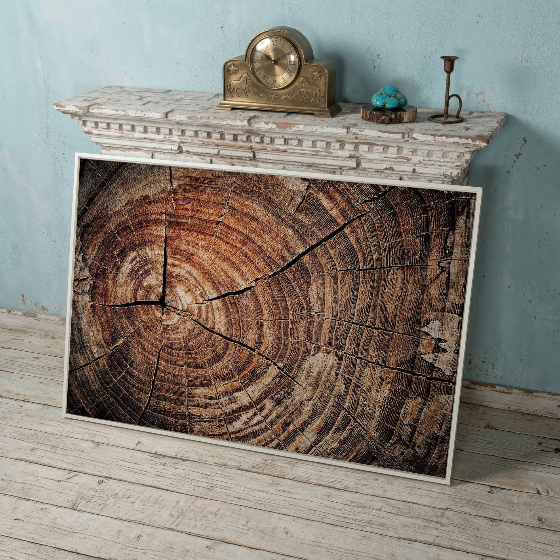 Old Oak Stump Canvas Print with Tree Rings in white floating frame