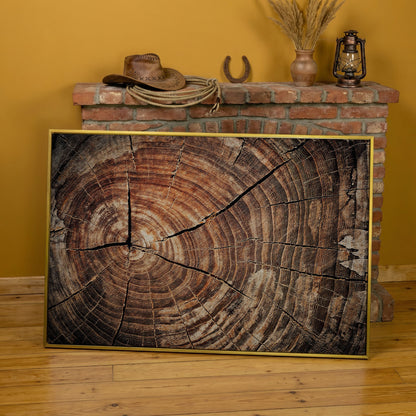 Old Oak Stump Canvas Print with Tree Rings in yellow gold floating frame