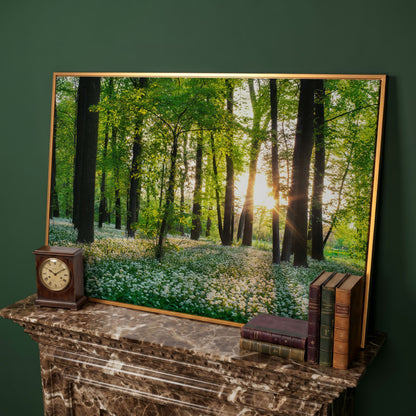 Sunny Forest Sunset with Wildflowers Canvas in antique gold floating frame