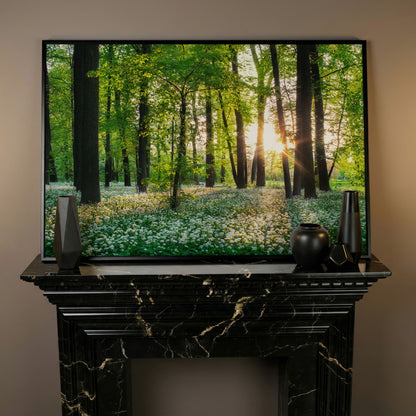 Sunny Forest Sunset with Wildflowers Canvas in black floating frame