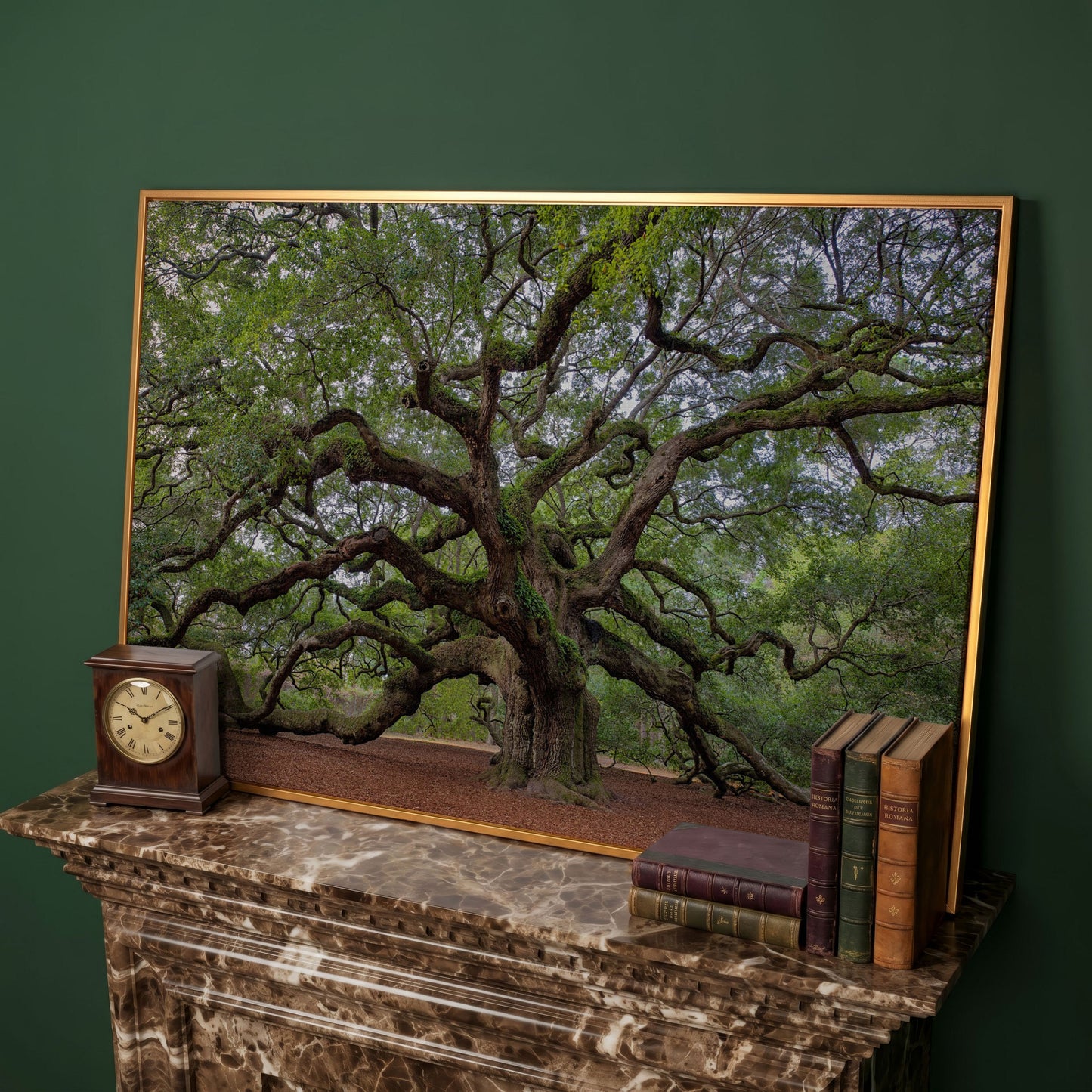 Old Southern Live Oak Canvas Print in antique gold floating frame