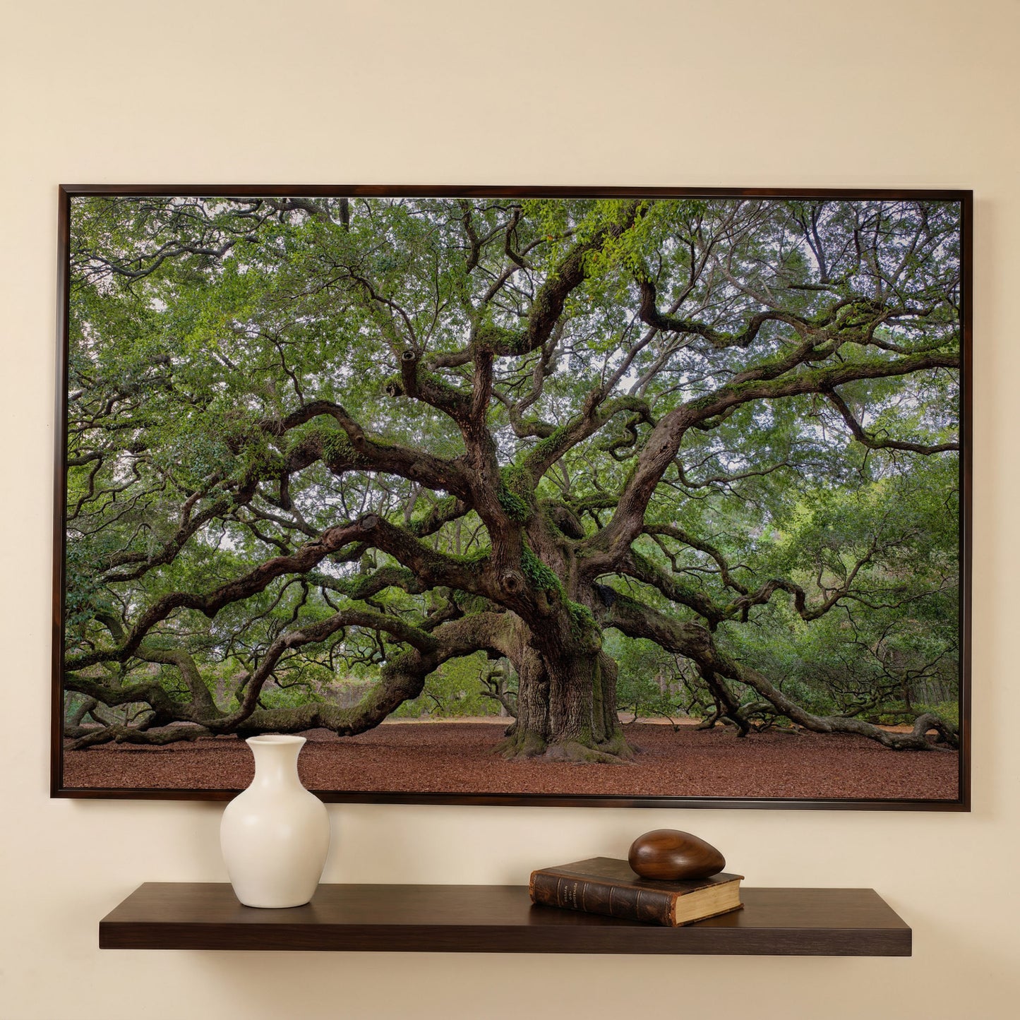 Old Southern Live Oak Canvas Print in dark walnut floating frame