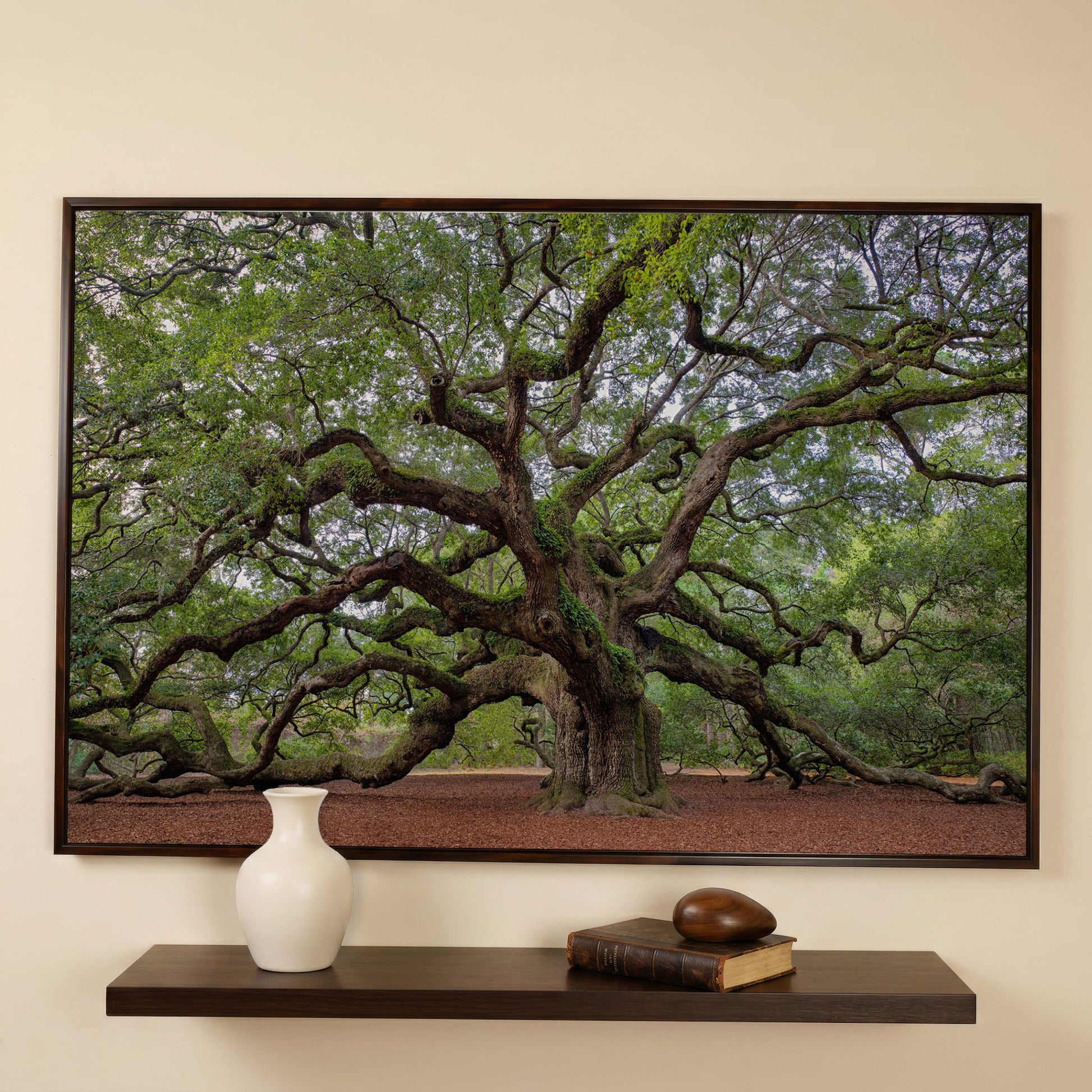 Old Southern Live Oak Canvas Print in dark walnut floating frame