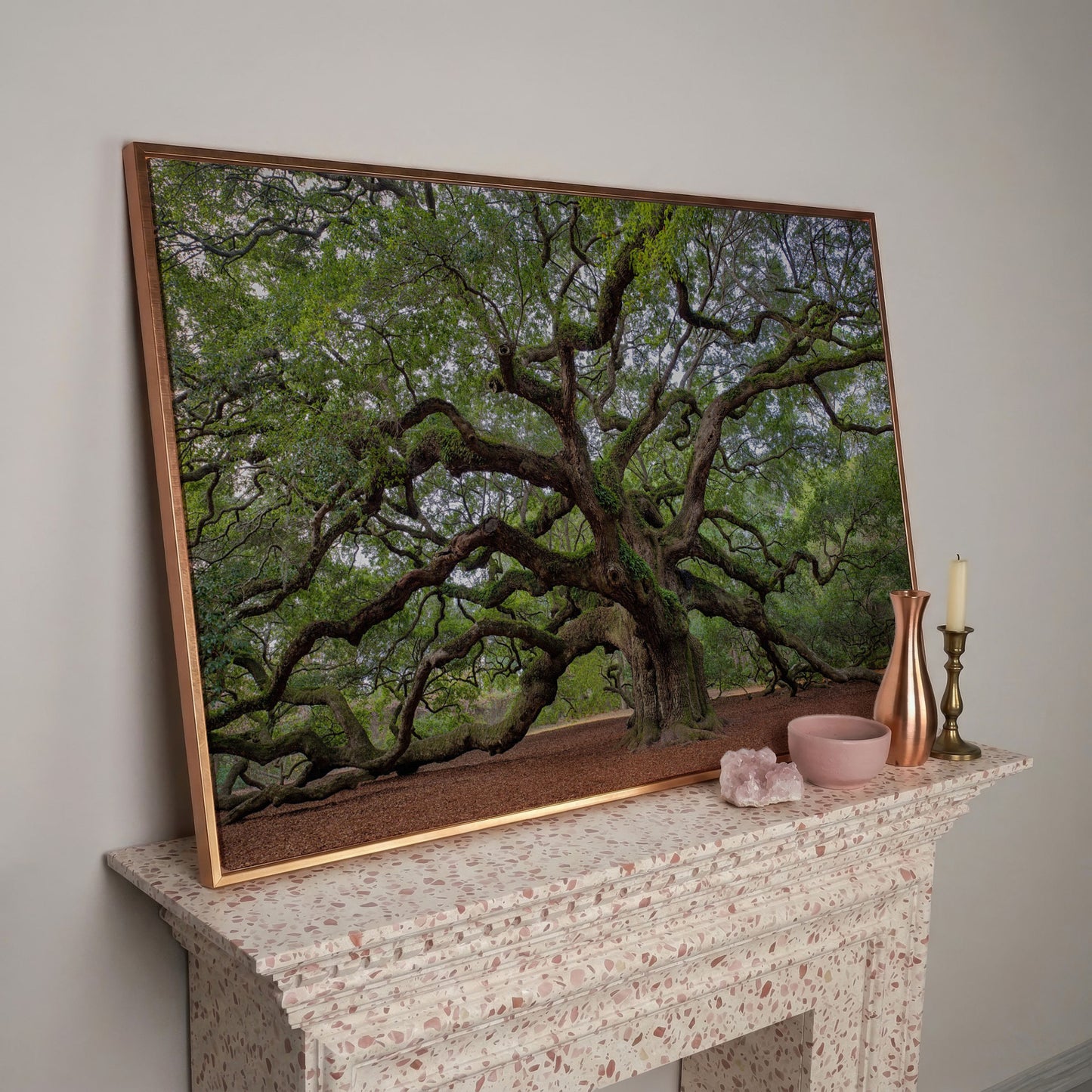 Old Southern Live Oak Canvas Print in rose gold floating frame