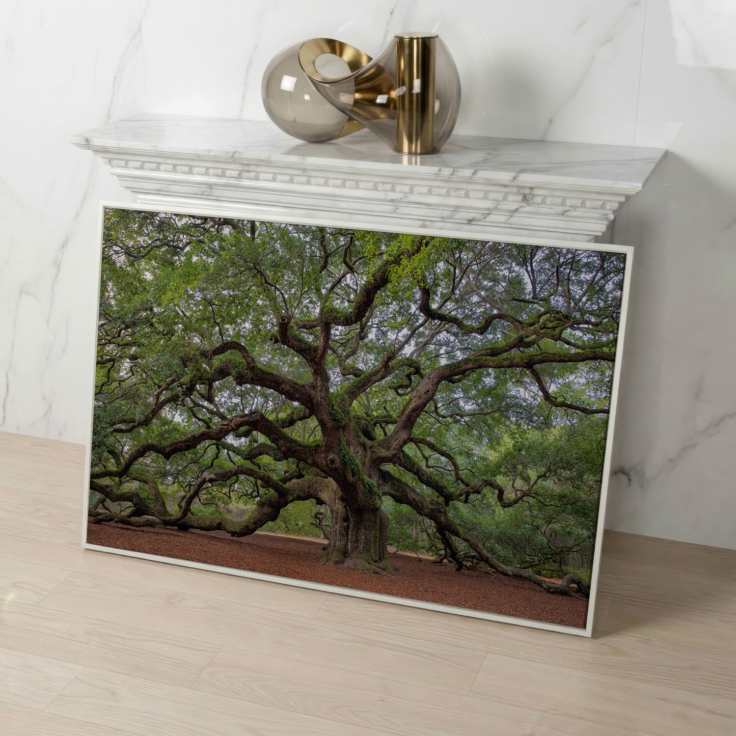 Old Southern Live Oak Canvas Print in white floating frame