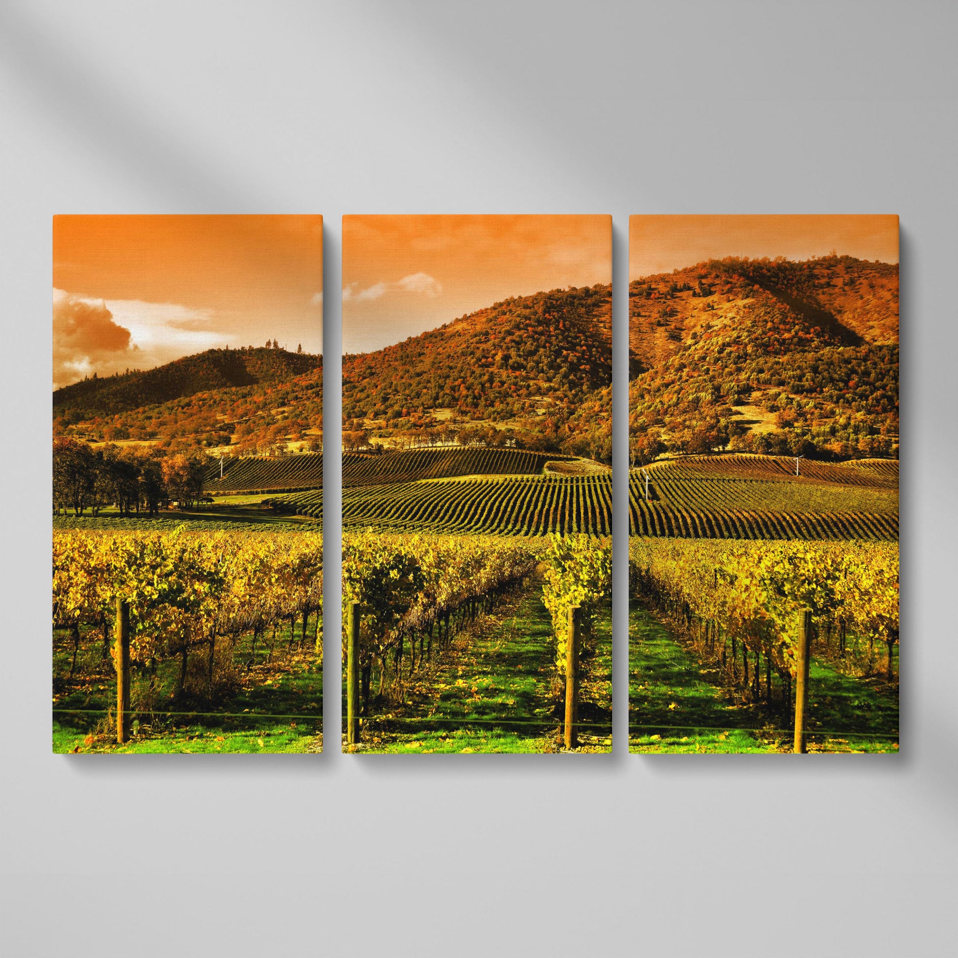 Tuscany Vineyard at Sunset Canvas Print as 3-panel split version
