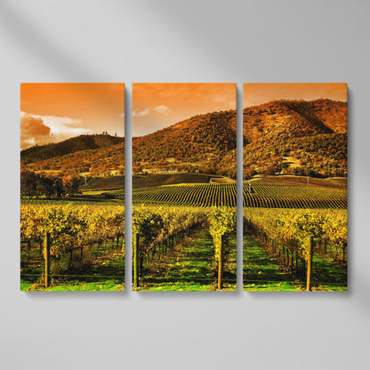 Tuscany Vineyard at Sunset Canvas Print as 3-panel split version