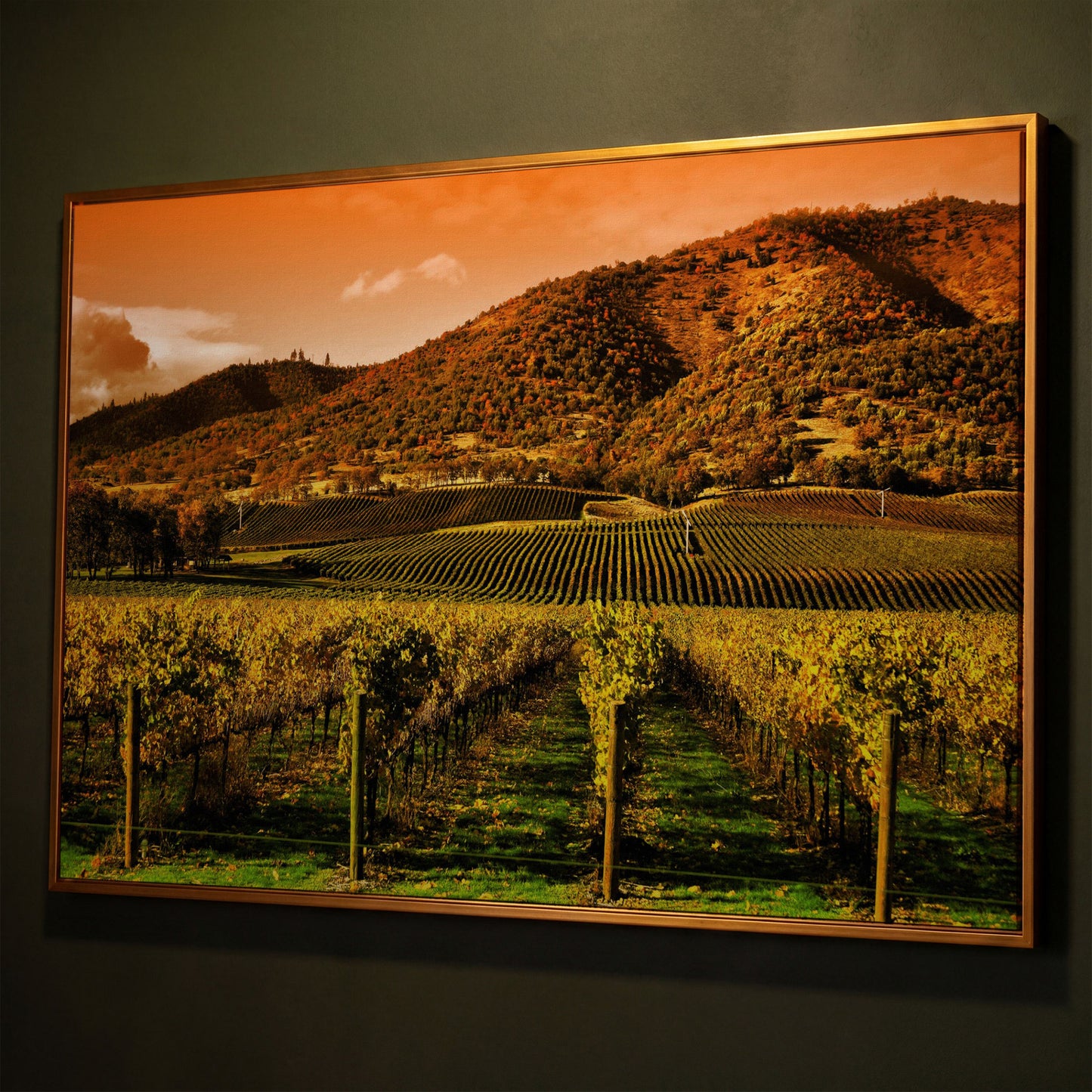 Tuscany Vineyard at Sunset Canvas Print shown in antique gold floating frame