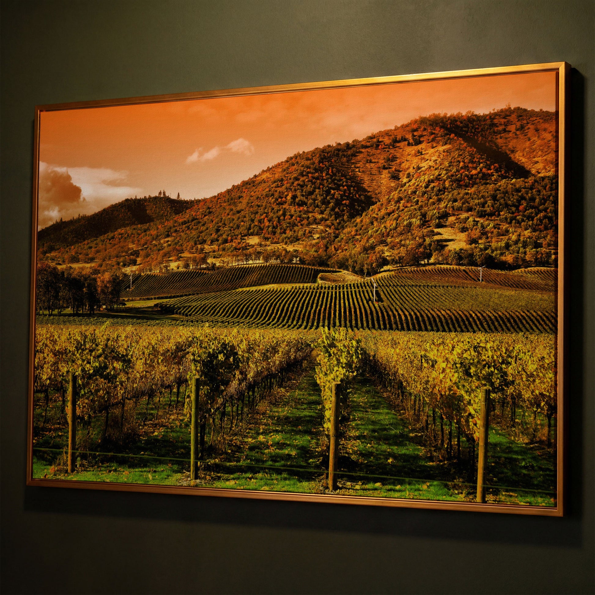 Tuscany Vineyard at Sunset Canvas Print shown in antique gold floating frame