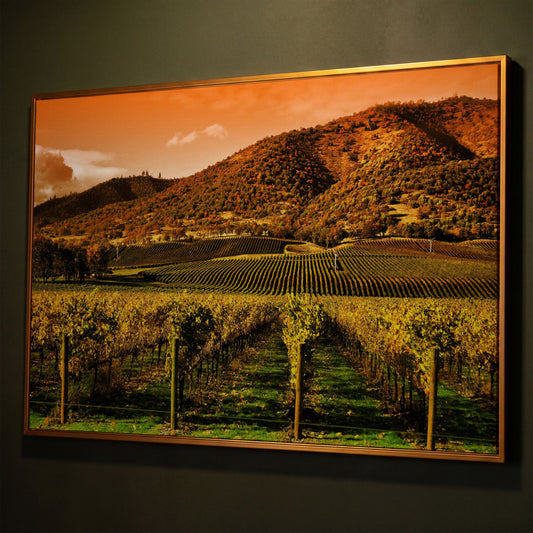 Tuscany Vineyard at Sunset Canvas Print shown in antique gold floating frame