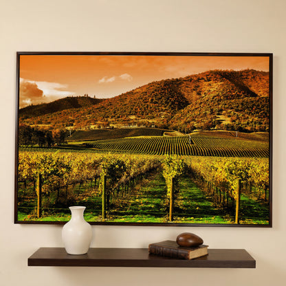 Tuscany Vineyard at Sunset Canvas Print in dark walnut floating frame