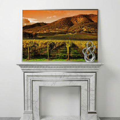 Tuscany Vineyard at Sunset Canvas Print in silver floating frame