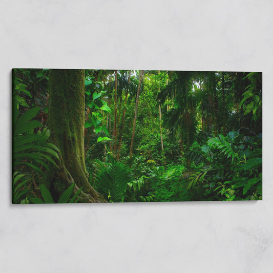 Lush Tropical Jungle Canvas Wall Art on gallery wrap