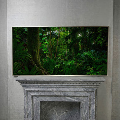 Lush Tropical Jungle Canvas Wall Art in silver floating frame