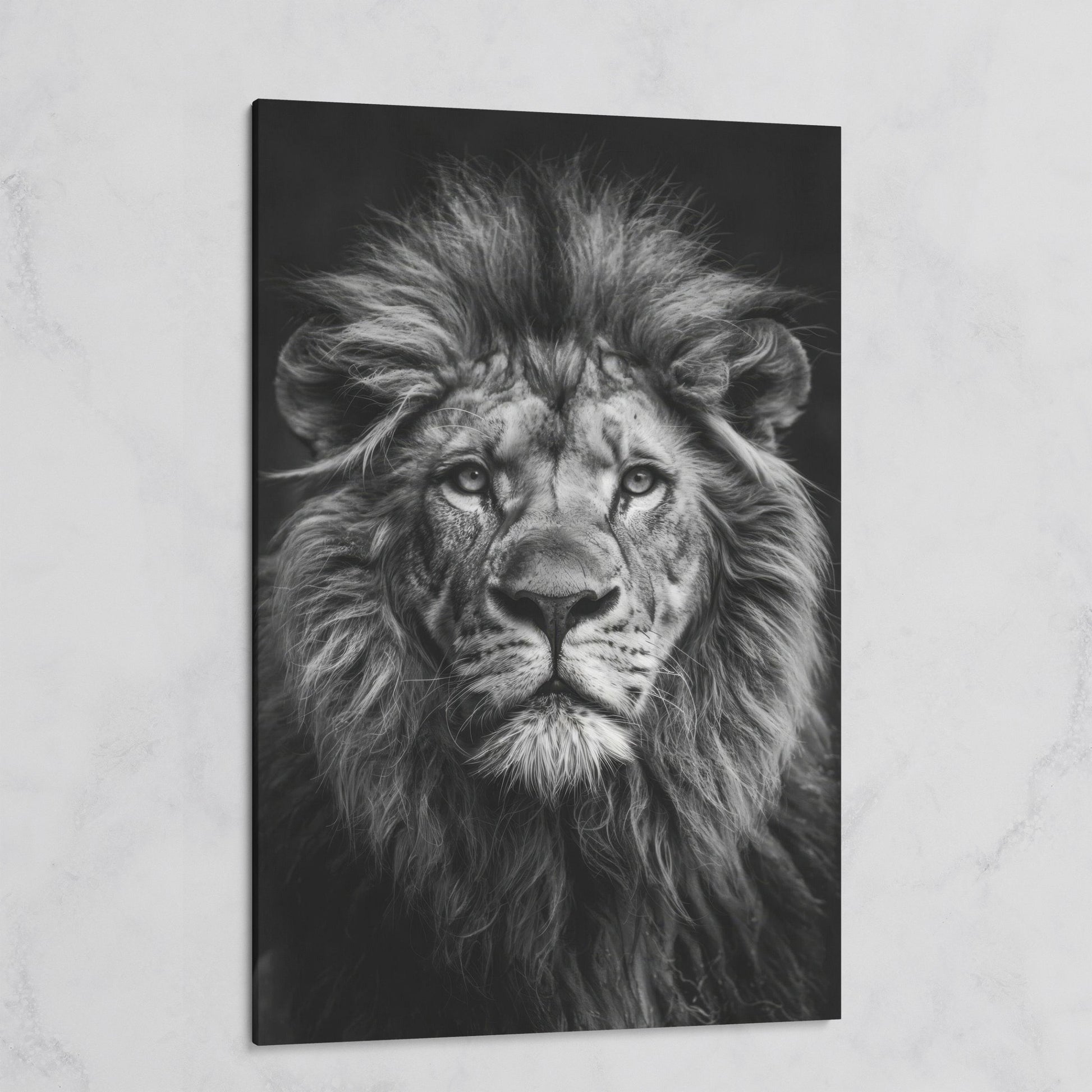 Black and White Lion Portrait Canvas on gallery wrap